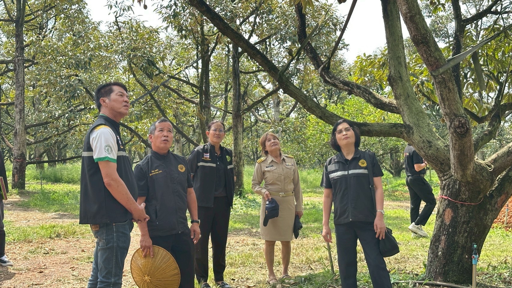 title - ประชุมติดตามผลการดำเนินงานตามแผนการตรวจราชการของ ส.ป.ก. ประจำปีงบประมาณ พ.ศ.2569 รอบที่ 1 เขตตรวจราชการที่ 9 จังหวัดตราด นายวินัย เมฆดำ